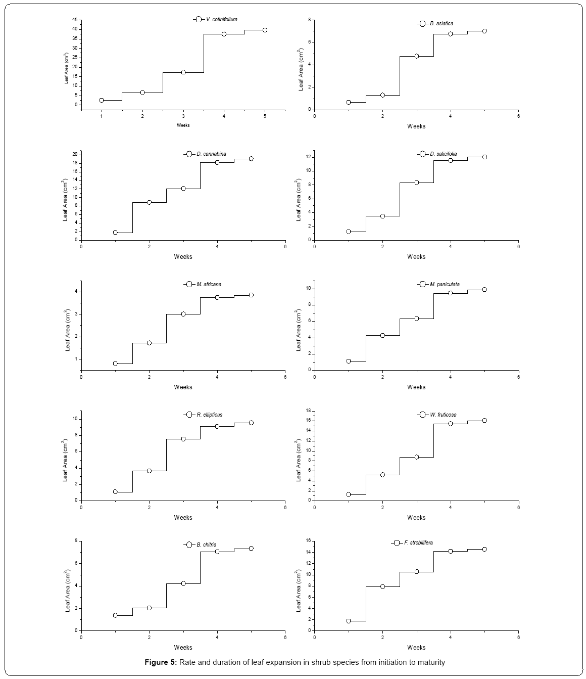 ecosystem-ecography-initiation-maturity