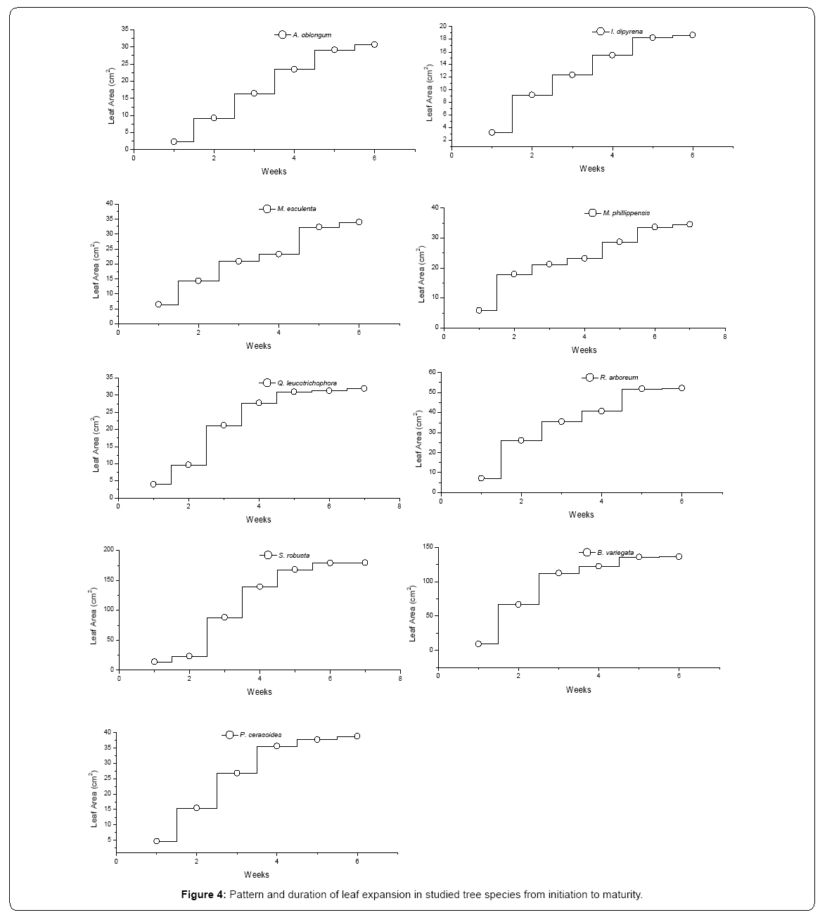 ecosystem-ecography-leaf-expansion