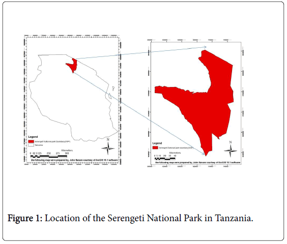 ecosystem-ecography-location-serengeti