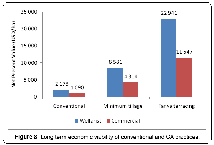 ecosystem-ecography-long-term-economic-viability