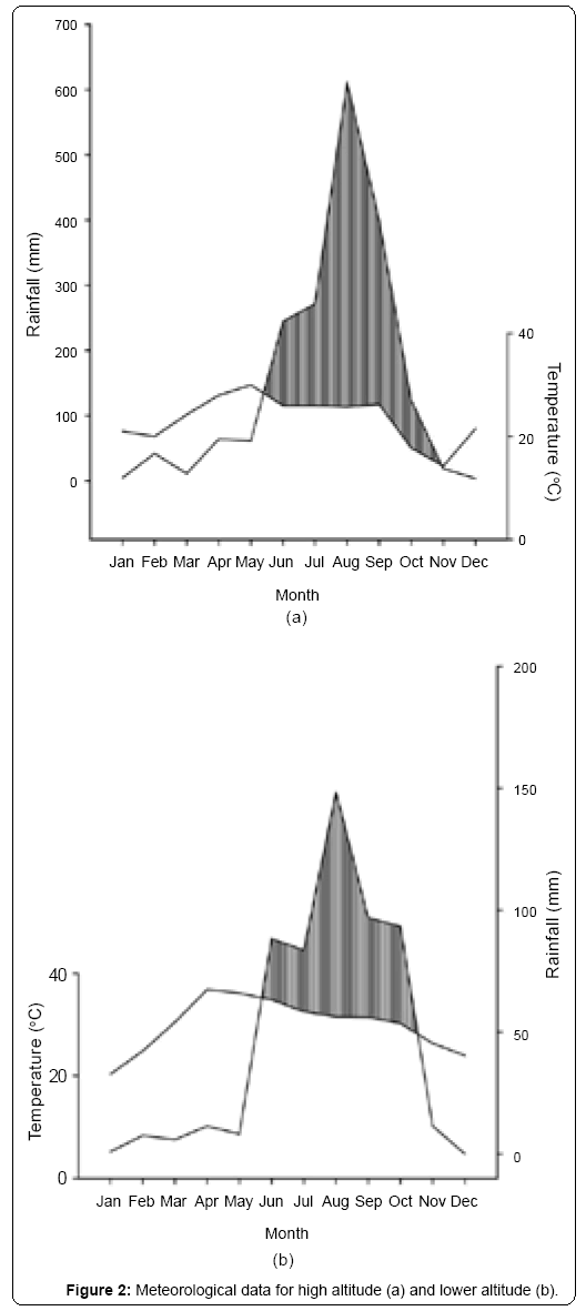 ecosystem-ecography-meteorological-data