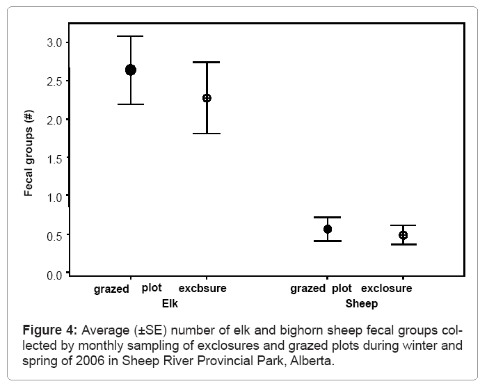 ecosystem-ecography-number-elk-bighorn