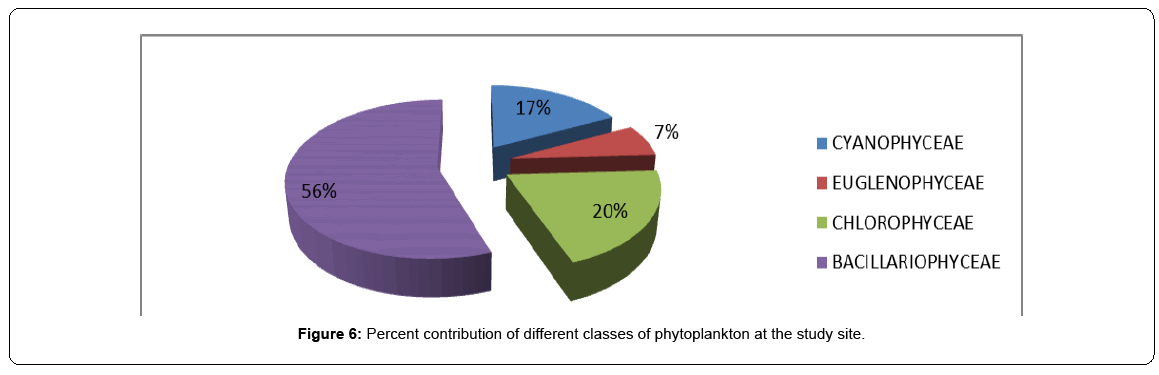 ecosystem-ecography-percent-contribution