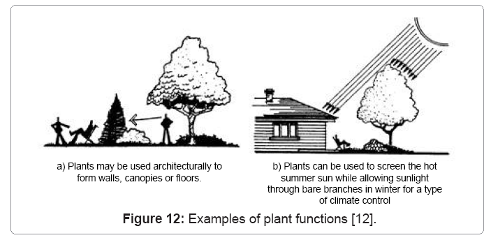 ecosystem-ecography-plant-functions