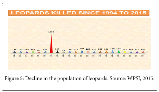 ecosystem-ecography-population-of-leopards