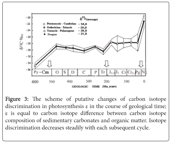 ecosystem-ecography-putative-changes-carbon