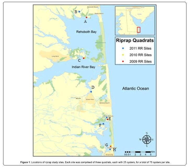 ecosystem-ecography-riprap-study-sites