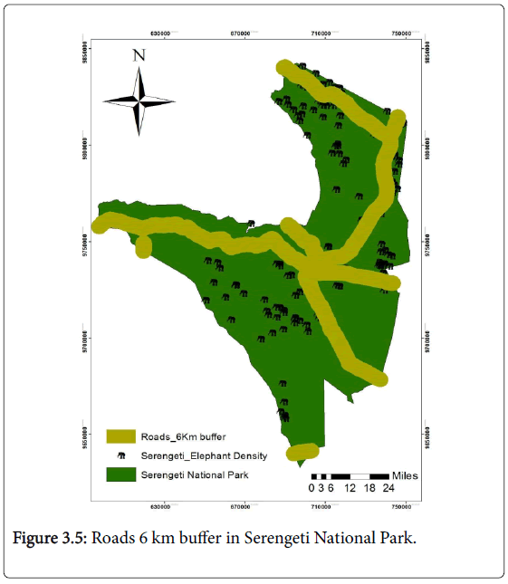 ecosystem-ecography-roads-buffer-serengeti