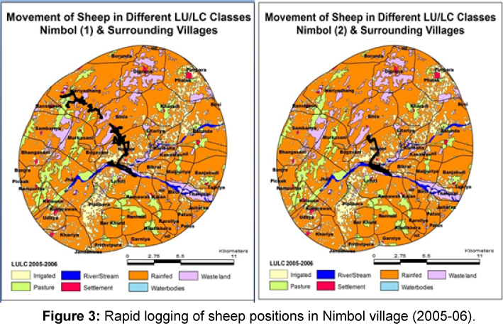 ecosystem-ecography-sheep-positions