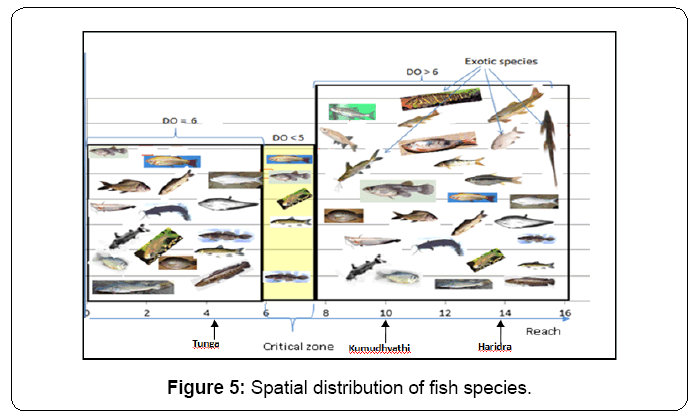 ecosystem-ecography-spatial-distribution