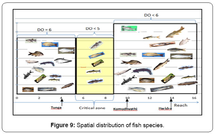 ecosystem-ecography-spatial-distribution