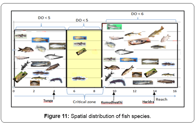 ecosystem-ecography-spatial-distribution