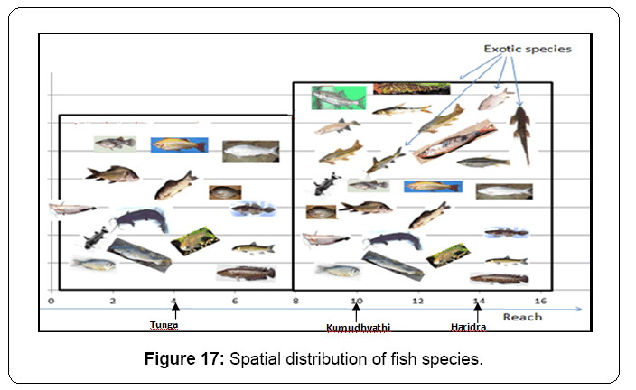 ecosystem-ecography-spatial-distribution