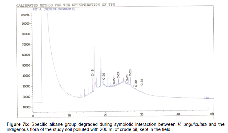 ecosystem-ecography-specific-unguiculata-200-field