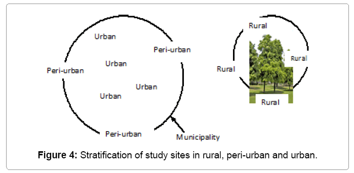 ecosystem-ecography-study-sites-rural