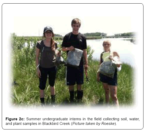 ecosystem-ecography-summer-undergraduate-interns