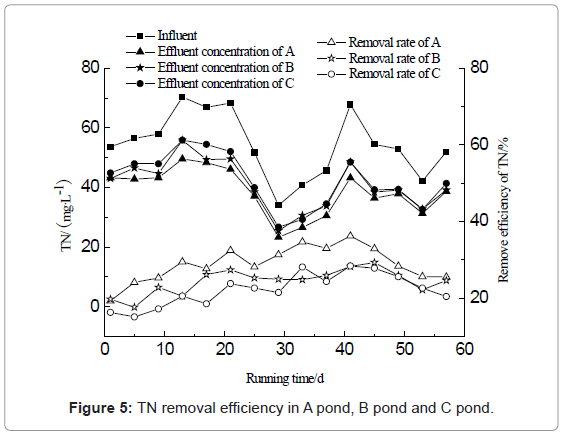 ecosystem-ecography-tn-removal-efficiency