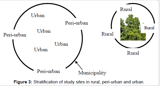 ecosystem-ecography-urban-and-urban