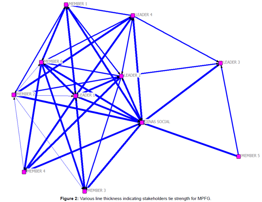 ecosystem-ecography-various-line-thickness-mpfg