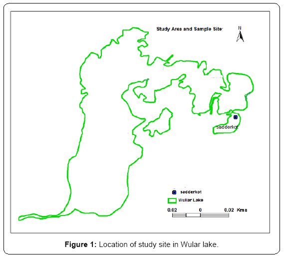 ecosystem-ecography-wular-lake