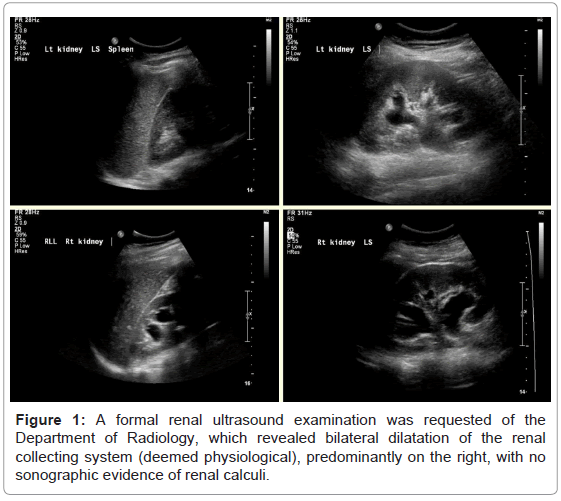 emergency-medicine-a-formal-renal-ultrasound