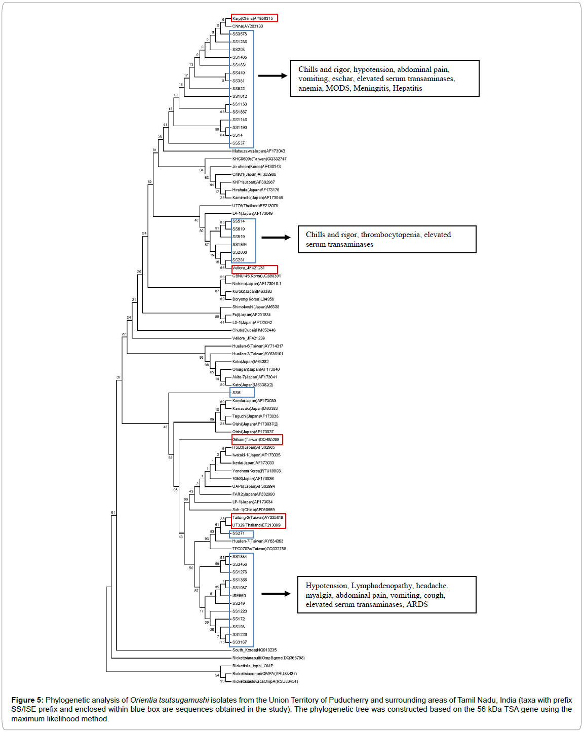 emerging-infectious-diseases-Phylogenetic