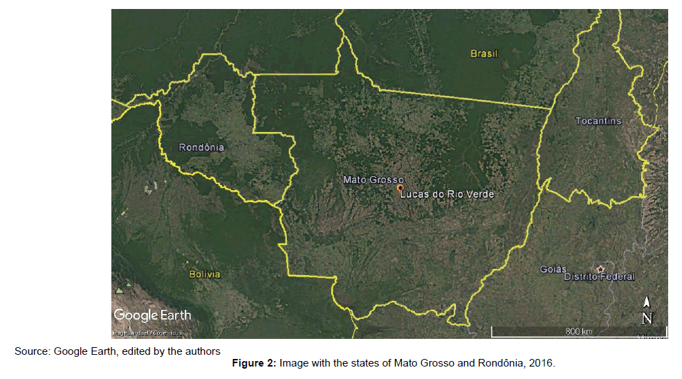 environment-pollution-Image-states