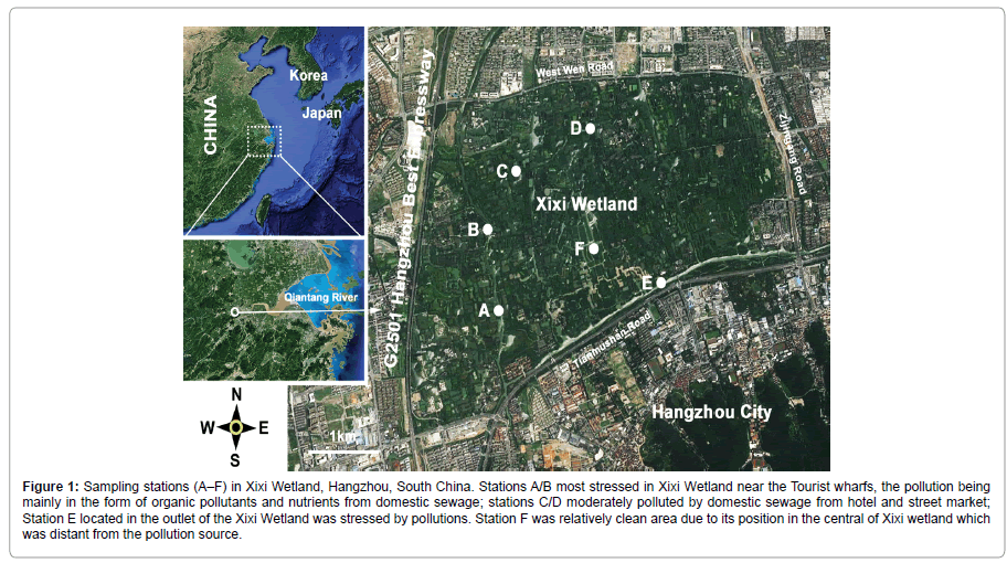 environment-pollution-Sampling-stations