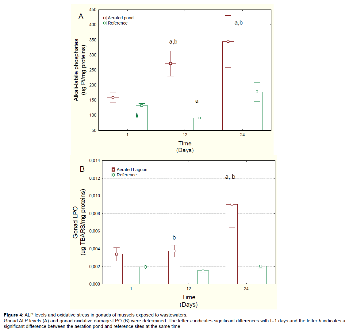 environment-pollution-gonad-oxidative