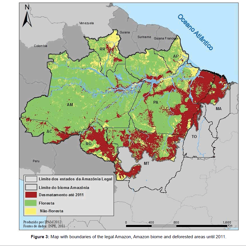 environment-pollution-legal-Amazon