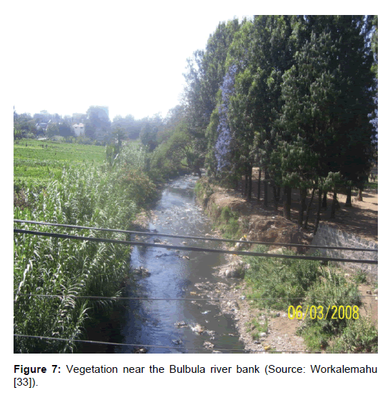 environment-pollution-river-bank