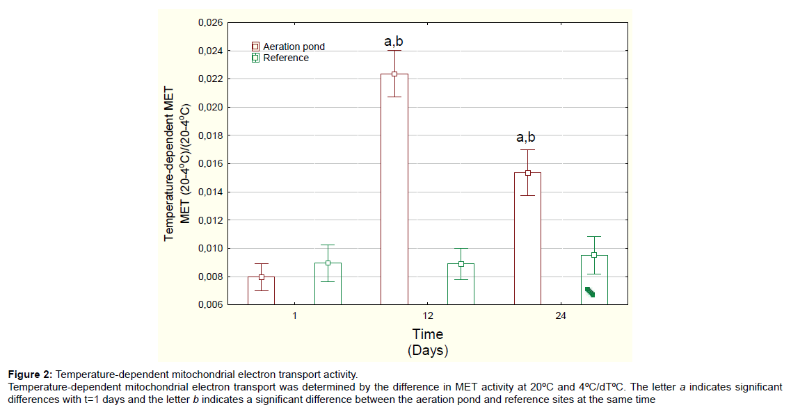 environment-pollution-transport-activity