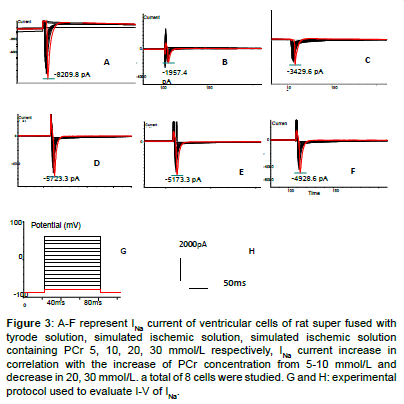 experimental-therapeutics-ischemic-solution