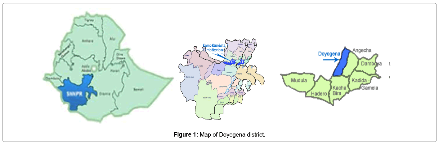 fisheries-livestock-production-Doyogena