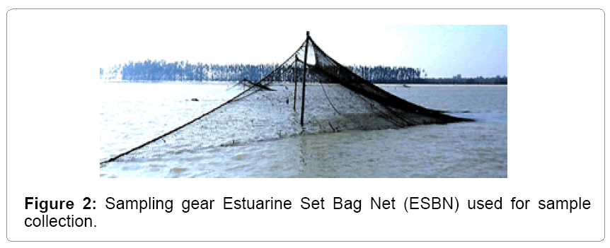 fisheries-livestock-production-Estuarine