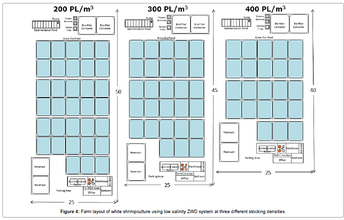 fisheries-livestock-production-Farm-layout-shrimpculture-salinity