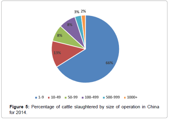 fisheries-livestock-production-Percentage-cattle-slaughtered-size