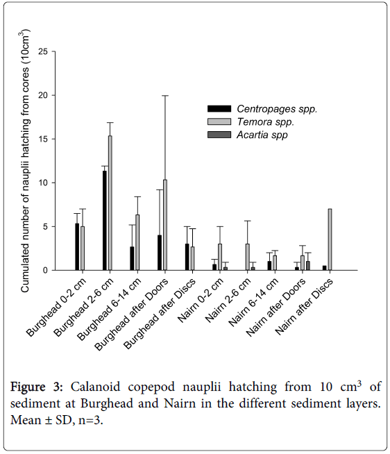 fisheries-livestock-production-copepod-nauplii-hatching