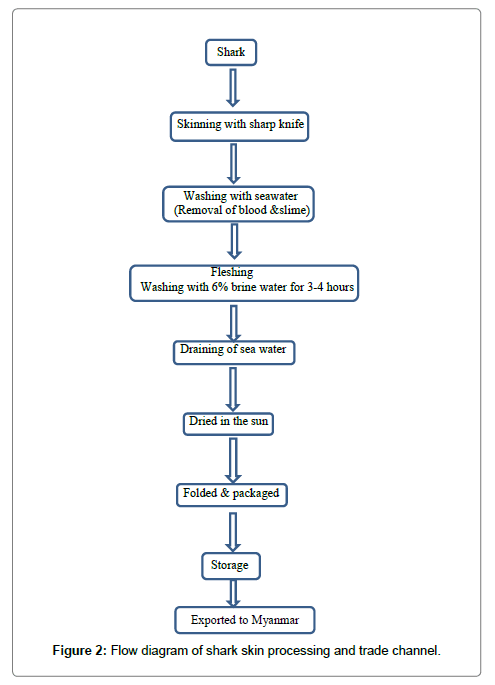 fisheries-livestock-production-diagram