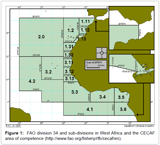 fisheries-livestock-production-division-area-competence