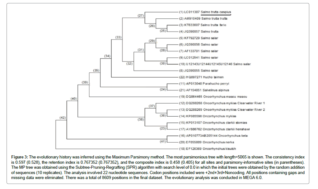 fisheries-livestock-production-evolutionary