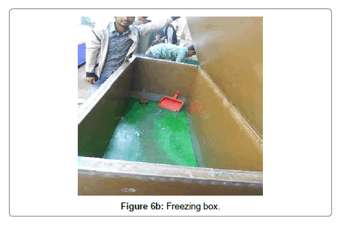 fisheries-livestock-production-freezing