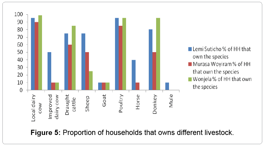 fisheries-livestock-production-households