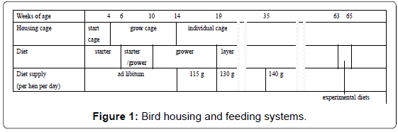 fisheries-livestock-production-housing-feeding-systems