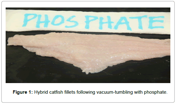 fisheries-livestock-production-hybrid-catfish-fillets