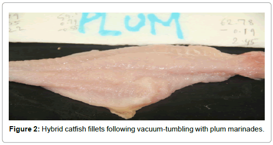 fisheries-livestock-production-hybrid-catfish-fillets