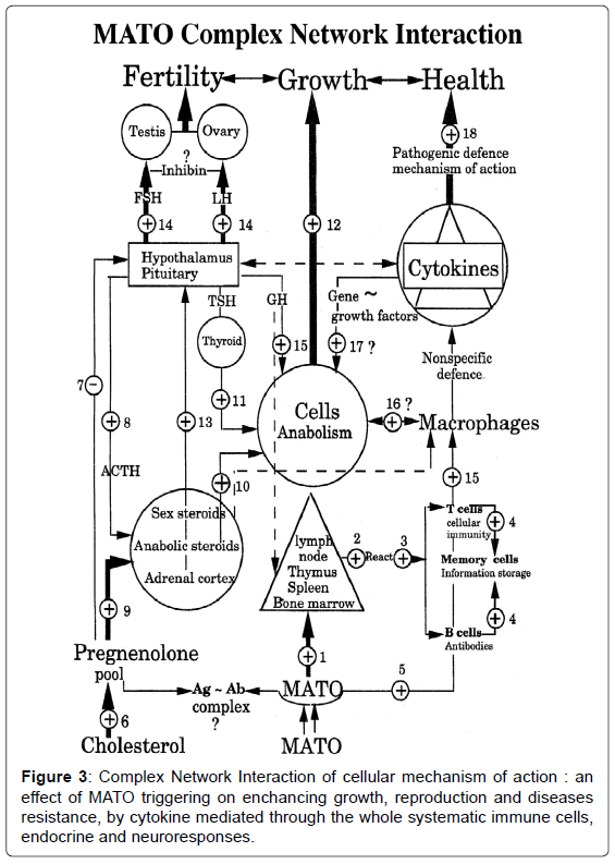 fisheries-livestock-production-interaction-cellular-mechanism