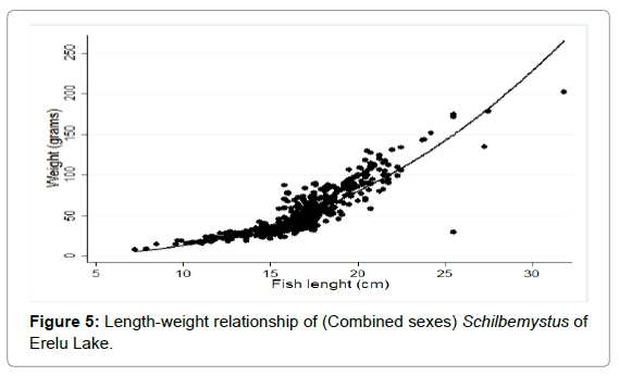 fisheries-livestock-production-length-schilbemystus