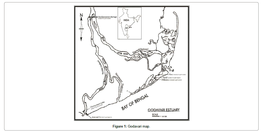 fisheries-livestock-production-map