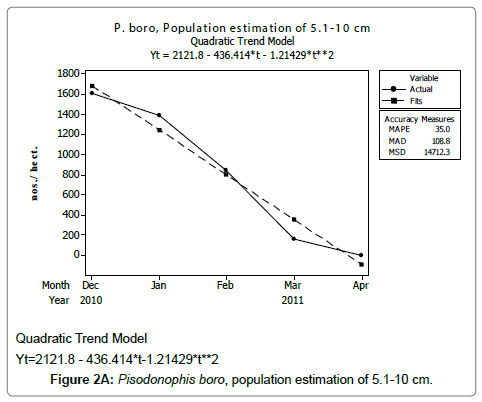 fisheries-livestock-production-pisodonophis